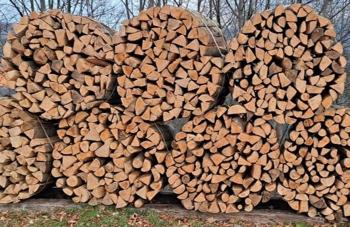 SUHA BUKOVA IN BREZOVA DRVA