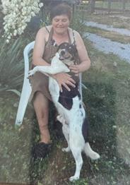 Podarim psa pasme Bosanski Tornak