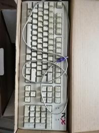 Tipkovnica s slo znaki, žična, Ps2