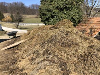 Podarimo konjski gnoj