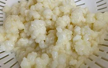 KEFIRJEVA ZRNA, PODARIM