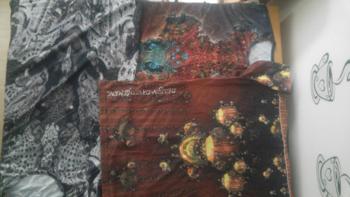 Podarim več kot 60 kosov različnih majic v 3 velikostih, vse nenošene.