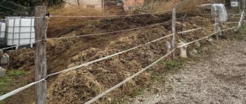 Konjski gnoj - PODARIMO